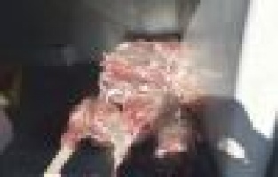 Kaçak et operasyonu