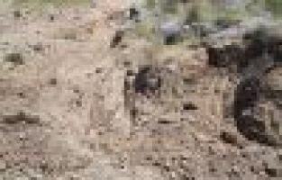 Kaçak kazı yapan definecilere baskın: 6 gözaltı