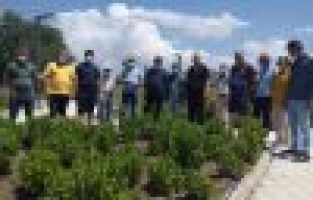 Kahtalı çiftçilere Balıkesir'de uygulamalı eğitim