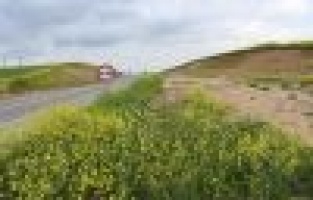 KARAYOLUNDA ÇİÇEKLER AÇTI