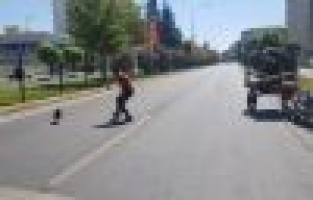 Karayolunda tavuk kovaladı