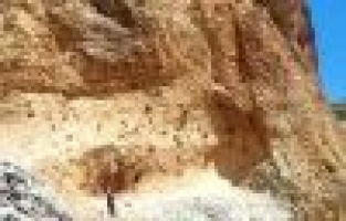 Kayalıklarda mahsur kalan keçileri AFAD kurtardı