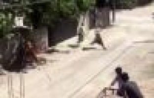 Kızgın boğa yanına kimseyi yaklaştırmadı