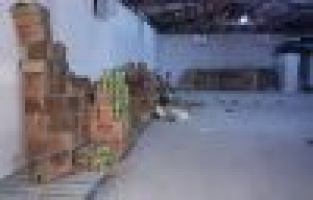 Konserve hırsızları yakalandı