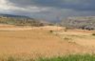 Leylek yuvasına yıldırım düştü