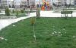 Mahalle Sakinleri Parkı Kirleten Öğrencilere Tepkili