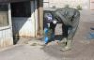 Mahalleliyi arılardan belediye ekipleri kurtardı