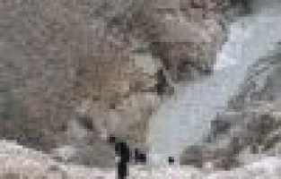 Mahsur kalan eşeği ekipler kurtardı