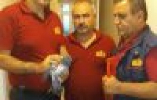 Mahsur kalan güvercini itfaiye ekipleri kurtardı