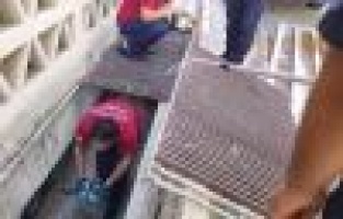 Mahsur kalan kediyi itfaiye ekipleri kurtardı