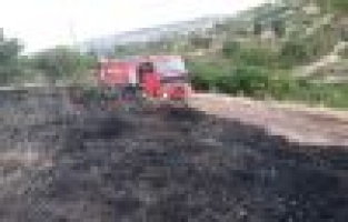 Mangal ateşi otluk alanda yangına neden oldu