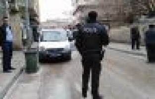 Mazgal fareleri yakalandı