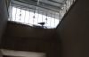 Merdiven boşluğunda mahsur kalan güvercinler kurtarıldı