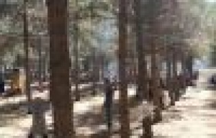 Mesire Alanları Adeta Dolup Taştı