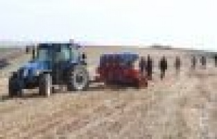 Milyonlarca canlı yanmaktan kurtulacak