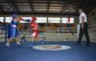 Minik Boksörlerin Ringde Mücadelesi Devam Ediyor