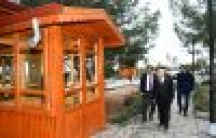 Minyaman büyümeye devam ediyor