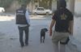 NARKO ekipleri, uyuşturucuya geçit vermiyor