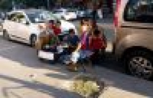 Öğrenciler girişimcilik dersinde domates sattı