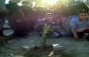 Öğrenciler Okul Bahçesini Ağaçlandırdı