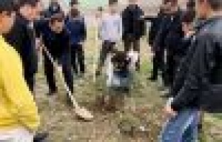 Öğrencilerden Zeytin Dalı Harekatına destek 