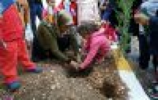 Okul bahçesine fidanlar dikildi