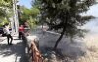 Okul yanındaki bahçede çıkan yangın korkuttu