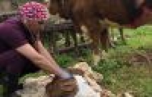 Onlarda hayvan sağlığı için görev başında