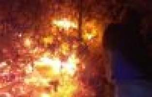 Orman ve bahçe yandı