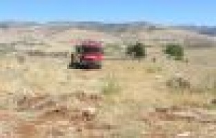 Orman yangınında badem ağaçları zarar gördü