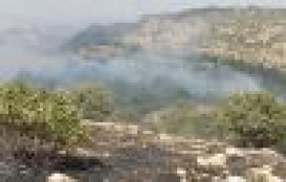 Orman Yangınını Mermer Ocağında Çalışan İşçiler Söndürdü