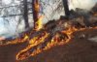 Ormanlık alan 14'üncü kez yandı