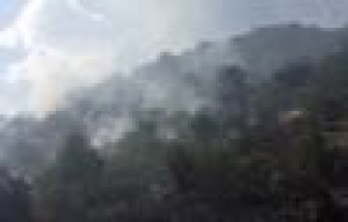 Ormanlık alan yandı