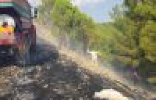 Ormanlık alanda yangın