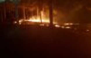 Ormanlık alanda yangın