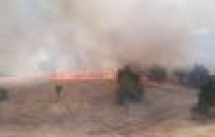 Ormanlık alanda yangın