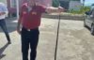 OSB İdari binasına giren yılan etkisiz hale getirildi