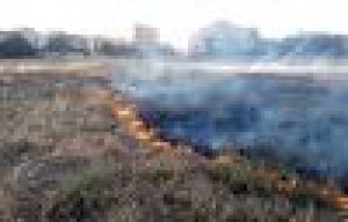 OTLUK ALANDAKİ YANGIN KORKUTTU