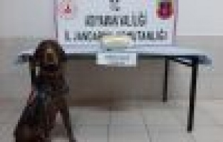 Otobüsteki uyuşturucuyu 'manken' buldu