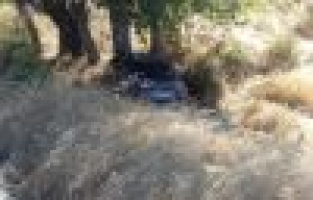 Otomobil ağaca çarptı: 3 yaralı