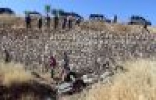 Otomobil anne ve oğluna mezar oldu