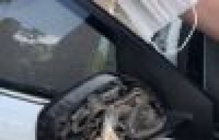 Otomobil aynalarından uyuşturucu çıktı