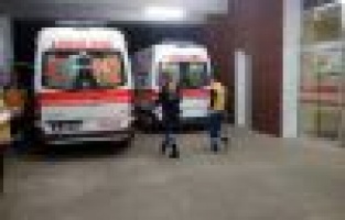 Otomobil Bahçe Duvarına Çarptı: 1 Yaralı