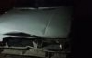 Otomobil domuza çarptı: 2 yaralı