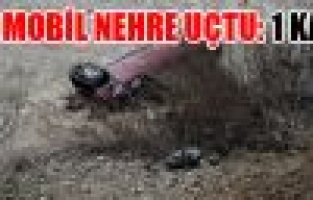 OTOMOBİL NEHRE UÇTU: 1 KAYIP