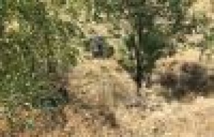 Otomobil şarampole yuvarlandı: 1 Yaralı