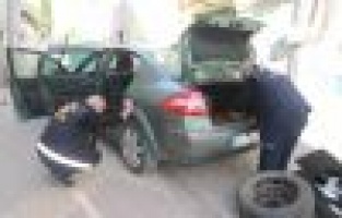 Otomobilde yılan paniği