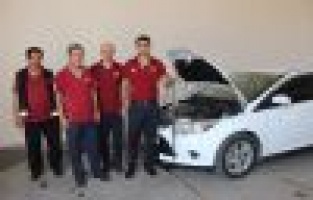 Otomobilden Yılan Çıktı