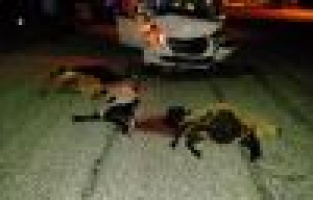 Otomobilin altında kalan kuzusu için gözyaşlarına boğuldu