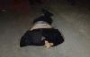 Otomobilin Çaptığı Şahıs Hayatını Kaybetti